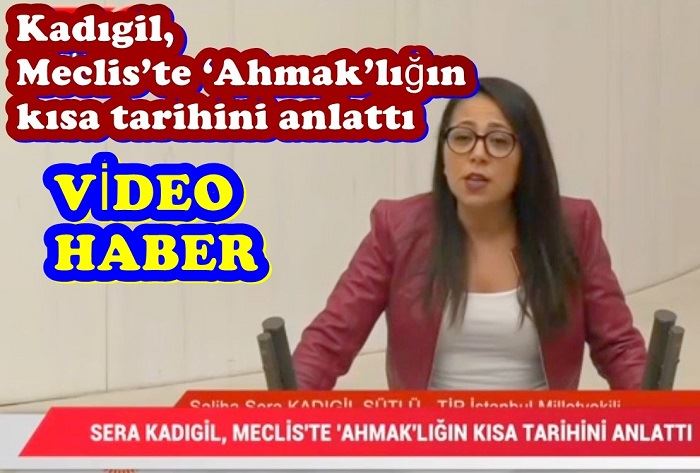 Kadıgil, Meclis’te ‘Ahmak’lığın kısa tarihini anlattı