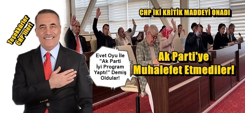 CHP MUHALEFETİ ÇÖKTÜ, AKP MUHALEFETSİZ VİZE ALDI