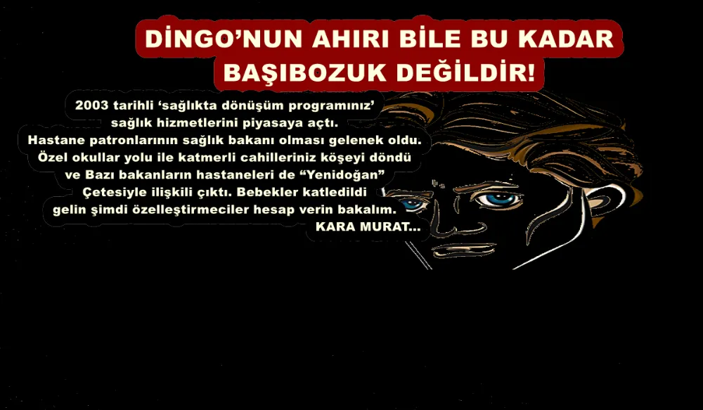 DİNGO’NUN AHIRI BİLE BU KADAR BAŞIBOZUK DEĞİLDİR! 