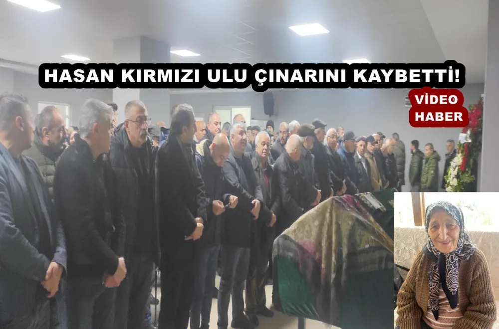 HASAN KIRMIZI ULU ÇINARINI KAYBETTİ!