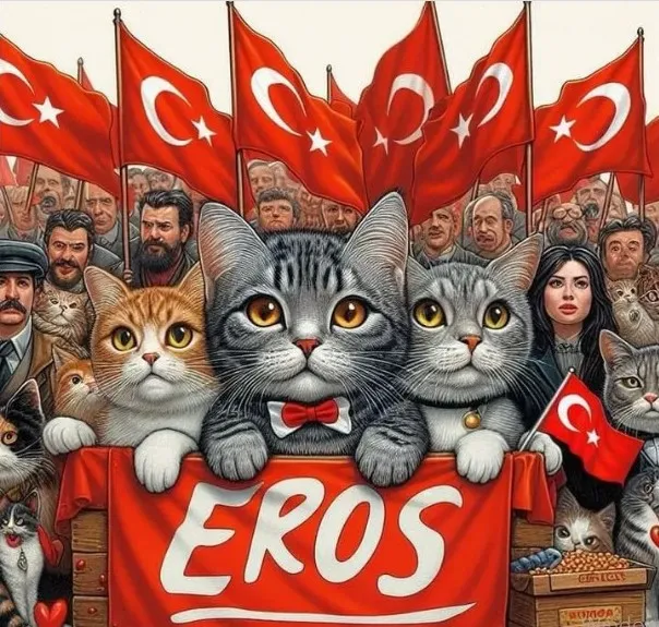 Türkiye Eros için adalet bekliyor