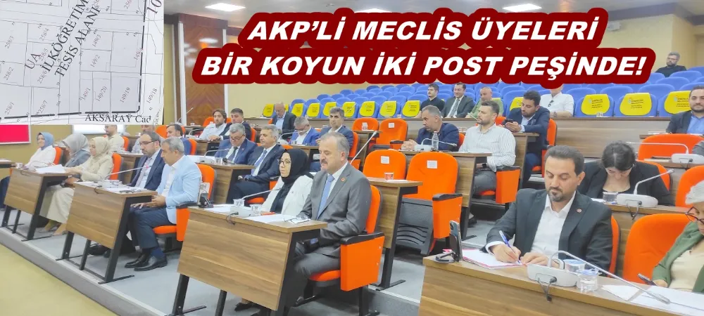 AKP’Lİ MECLİS ÜYELERİ BİR KOYUN İKİ POST PEŞİNDE!