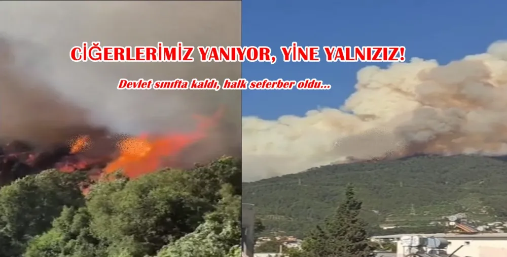 CİĞERLERİMİZ YANIYOR, YİNE YALNIZIZ!