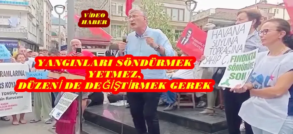 ALPER TAŞ: YANGINLARI SÖNDÜRMEK YETMEZ, DÜZENİ DE DEĞİŞTİRMEK GEREK