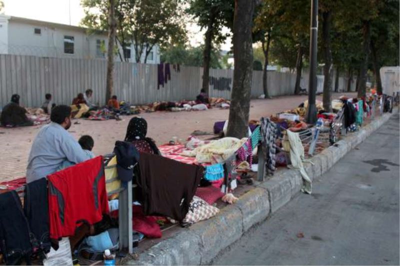 Kaldırımlarda Yaşam Mücadelesi
