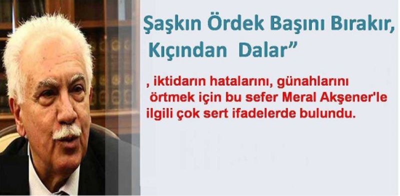 Şaşkın Ördek Suya Tersten Dalar