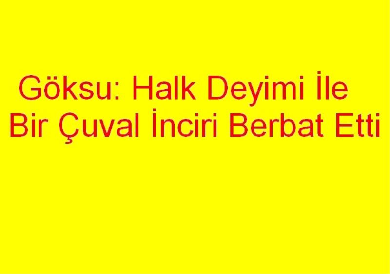 Göksu: Halk Deyimi İle Bir Çuval İnciri Berbat Etti