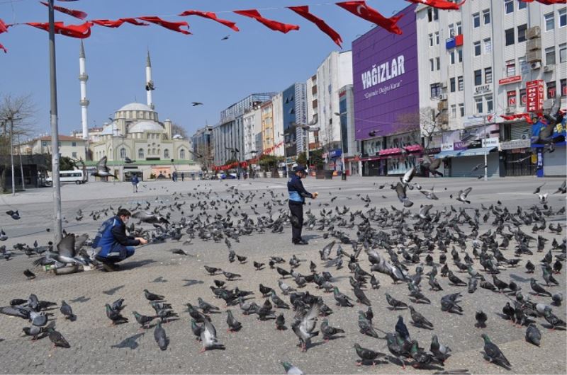 Esenler Zabıtası sesiz dostlarımızı yalnız bırakmadı