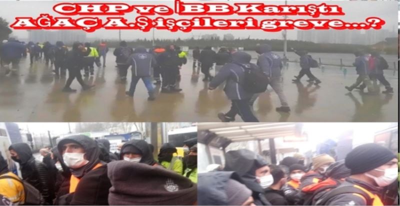 CHP ve İBB Karıştı AĞAÇ A.Ş işçileri greve? 