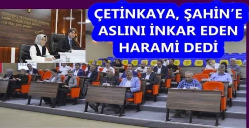 ÇETİNKAYA, ŞAHİN